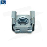 Aksesoris Kabel Jaringan Spring Steel Cage Nut M6 untuk Rak Server, Kabinet, dan Pemasangan Rak, 4000 pcs Harga Satuan