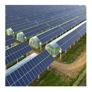 solar greenhouse solar smart low cost galvanized steel frame pc board greenhouses agricultural