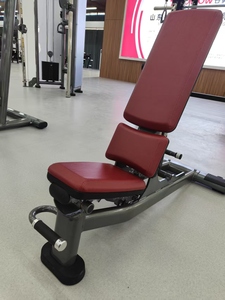 Panca Pesi Regolabile di Alta Qualità Pieghevole Multifunzione Inclinabile e Declinabile per Allenamento Panca Piana Attrezzatura Fitness per Bodybuilding - Product Image 5