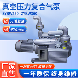 ปั๊มลมสุญญากาศแบบคอมโพสิต Isge ZYBW250/360  วัสดุเหล็กหล่อและสแตนเลส หัวปั๊มขนาด 250 มม. อัตราการไหล 69 ลิตร/นาที ขับเคลื่อนด้วยไฟฟ้า - Product Image 5