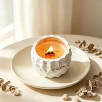 Boîte cadeau créative, bougie aromathérapeutique à la cire de soja, parfum montagne-forestière, longue durée, faite à la main pour les anniversaires, décoration de la maison