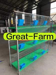 Yeni galvanizli H tipi otomatik gübre tepsisi ile 3 katmanlı tavşan kafesleri 12 tavşanlar için dayanıklı inşaat ticari kullanım - Product Image 4