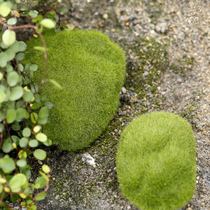 Miniatures de pierres artificielles créatives en fausse herbe, décorations paysagères, petits ornements rocheux artificiels, accessoires de bricolage - Product Image 4