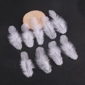 Wholesale short loose bulk pack colorful hen feather for ornament making Chicken feather 100 piece/bag