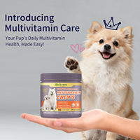 ODM/OEM Beiyuan Pet Multivitamin Soft Chews, comprimés à mâcher multivitaminés pour chiens et chats, soutien articulaire, cutané et immunitaire, emballage personnalisé