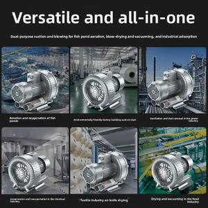 Взрывозащищенный высоконапорный алюминиевый вихревой вентилятор высокой мощности, 380В, промышленный турбинный воздуходувка CT4/BT4, гарантия 1 год - Product Image 6