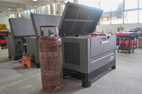 5KVA-30KVA 4-Zylinder Dual-Fuel-Generator Benzin LPG Ultra-Leise ATS Automatischer Start Korrosionsbeständiger Stahl OEM ODM