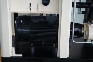 Compresseur d'air à vis à vitesse fixe RTTW 37 kW 50 CV IP54 8 bars, compresseur d'air industriel pour l'industrie textile et cimentaire - Product Image 6