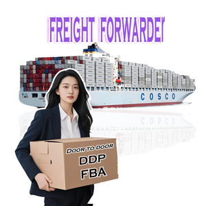 Agente de Transporte de Carga DDP de China a Irlanda para Envío Marítimo y Terrestre a Polonia, Agente de Envío DDP, FBA, DAP - Product Image 1