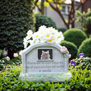 Luxe créatif chat chien mémorial pierre tombale polyrésine sacrificielle cercueil <span class=keywords><strong>pour</strong></span> animaux de compagnie urne funéraire <span class=keywords><strong>pour</strong></span> cendres d'animaux urne ornementale <span class=keywords><strong>pour</strong></span> - Product Image 5