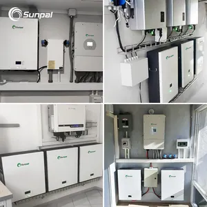 Batería de litio Sunpal Lifepo4 48V 200Ah 10kWh Powewall, batería de almacenamiento de energía para el hogar