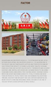 Allacciati guanti da <span class=keywords><strong>boxe</strong></span> 10oz 12 <span class=keywords><strong>oz</strong></span> 12 <span class=keywords><strong>oz</strong></span> Guantes de Boxeo con Logo personalizzato di fabbrica Wolon OEM ODM - Product Image 6