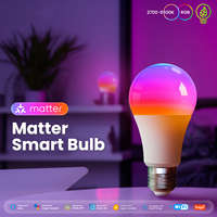 Tuya Matter WiFi Smart Bulb Dimmable Led Light 16 Millions RVB Couleurs E27 Bougie Lampe Commande Vocale Alexa Google Home