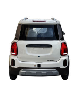 Vehículo Eléctrico Multiusos, Sedán Pequeño, Asientos de Cuero, Portaequipajes Metálico, Cámara Trasera, Tracción Trasera, 5 Plazas - Product Image 4