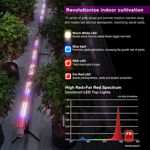 <span class=keywords><strong>2025</strong></span> mới nhất 120W IP66 dẫn phát triển ánh sáng dưới tán cây với màu đỏ xa cao PPE 30% tăng thu hoạch dẫn lm301h chip cho 4ft nhà máy phát triển - Product Image 3