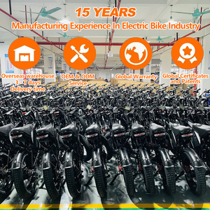 Vélo cargo électrique personnalisé OEM, 48V65AH, double batterie grande capacité, freins à disque hydrauliques, suspension intégrale, pour trajets urbains et livraison - Product Image 5