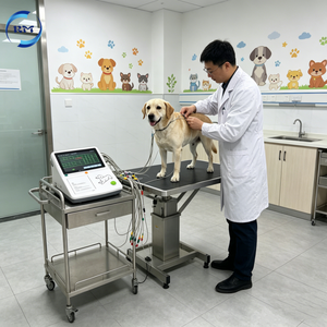 Appareil ECG vétérinaire haute résolution avec affichage clair des formes d'onde pour une analyse précise de l'état cardiaque des animaux - Product Image 2