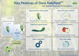 Trung Quốc Agro tảo bẹ chiết xuất bột hợp chất phân bón rong biển loại giá tốt nhất cho dâu tây và blueberry - Product Image 5