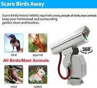 Répulsif laser automatique pour oiseaux, rotation 360°, étanche IP65, dispositif d'éloignement des oiseaux, chasseur de pigeons et d'oiseaux de ferme