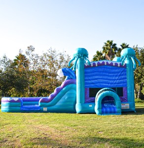 Castillo Inflable, Brincolín Inflable, Casa de Brinco Inflable Comercial, Castillo Inflable de Medusas - Product Image 6