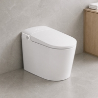 Siège de toilette intelligent avec télécommande, bidet électrique, siège chauffant, couvercle automatique, eau chaude et séchage à l'air
