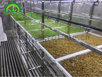 Installation Hydroponique Horizontale pour la Germination de Graines de Micro-Pousses d'Orge, Fourrage Vert et Foin Hydroponique