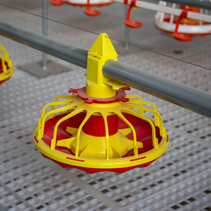 Sistema di Alimentazione Automatico per Allevamento di Polli da Carne per 50.000 Galline - Product Image 6