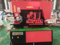 Machine à découper et poinçonner le fer hydraulique multifonction Q35Yx20 Q35Yx25 pour la découpe et le poinçonnage d'angles et de profilés en acier