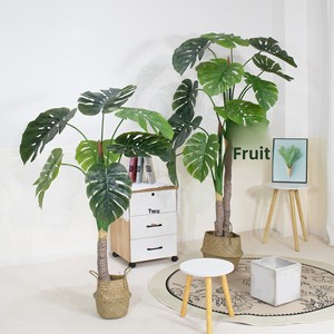 Plantes artificielles réalistes pour la décoration intérieure, plantes bonsaï de haute qualité, <span class=keywords><strong>bambou</strong></span> <span class=keywords><strong>artificiel</strong></span> à <span class=keywords><strong>tige</strong></span> haute pour l'intérieur - Product Image 1