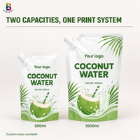 Fabricant de pochettes souples personnalisées avec bec verseur pour boissons liquides (500 ml, 1 L), eau minérale et eau de coco, format portable