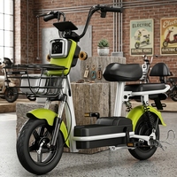 Nouveau vélo électrique à deux roues pour adultes, norme nationale - Approvisionnement transfrontalier direct d'usine