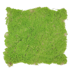 Vente flash : Plantes artificielles en mousse verte, tapis vert pour la décoration de la maison, mousse artificielle pour suspendre au mur, paysage vert pour l'intérieur - Product Image 1