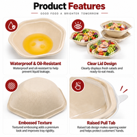 Boîte alimentaire jetable biodégradable et compostable en pulpe de bagasse de canne à sucre pour repas et plats à emporter