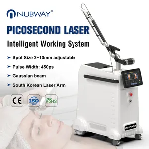 Chuyên nghiệp nhất picosecond Nd Yag Xóa hình xăm máy laser picosecond