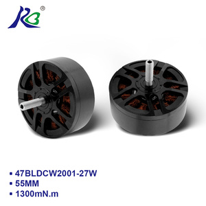 <span class=keywords><strong>Motor</strong></span> de CC sin Escobillas RB 53BLDCW1501 para Máquina de Cuchillas de Drones, Alta Potencia 1400W 33V 13500rpm Velocidad para <span class=keywords><strong>Motor</strong></span> de Drones 53mm - Product Image 1