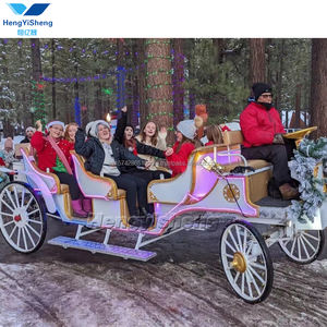 Carruaje de caballos eléctrico para boda, uso turístico, precio bajo, alta calidad, Color personalizado, Batería de 60V 80A - Product Image 6