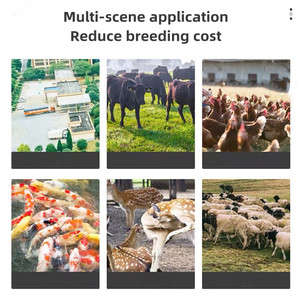 Línea de Producción de Granuladores de Alimento para Animales, para Alimento de Ganado, Conejos, Pollos y Cerdos - Product Image 6