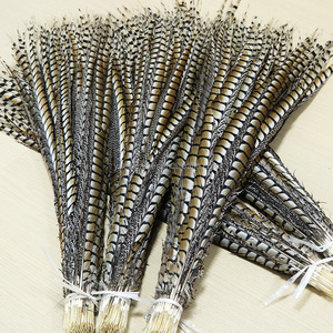 Piume Lunghe di Fagiano Lady Amherst per Costumi di Carnevale, Copricapo, <span class=keywords><strong>Cappello</strong></span> da Ballo, Motivo Tinto in Capo - Product Image 2