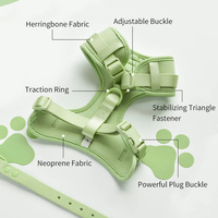 Ensemble de collier de laisse pour chien chat petit PVC imperméable harnais sans traction fabricants de luxe personnalisé de néoprène