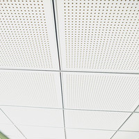 Plaques de plafond en fibres minérales perforées modernes NRC 0.65, insonorisantes, 600x600mm (2x2ft) pour bureaux, ateliers, salles de classe, résistantes au feu