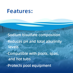 Réducteur de pH 2KG pour piscines Spas et bains à remous Abaisse l'<span class=keywords><strong>alcalinité</strong></span> et équilibre l'eau emballée dans un sac - Product Image 2