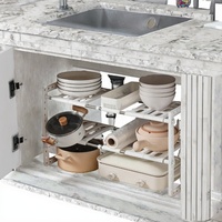 Étagère de rangement de cuisine pliable à double niveau en acier inoxydable écologique, à poser au-dessus de l'évier, pour organiser les assiettes et les bols