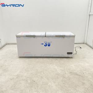 BYRON-Congélateur Ultra Basse Température-30/40/60/65/80 Degrés pour Saumon Poisson de Mer Profonde - Product Image 2