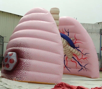 Poumons gonflables géants en PVC personnalisés avec modèle de tube pulmonaire pour l'enseignement et l'affichage