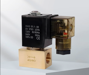 1/4 אינץ dc24v גבוה לחץ סולנואידים להתאמה אישית עם מבנה טייס עבור גז וטמפרטורות גבוהות - Product Image 4