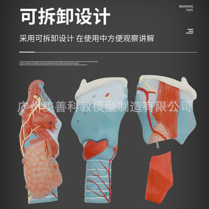 2 - Product Image 5