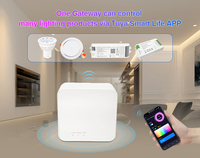 Passerelle intelligente sans fil 2.4G WIFI Box Support Tuya app Alexa Google Assistant