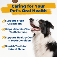 Compléments alimentaires pour animaux de compagnie fournis par l'usine OEM avec vitamine C pour des dents propres, une haleine fraîche, le bien-être buccal des chiens, nutriments à mâcher doux