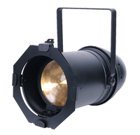 100W COB putih LED Par 64 cahaya