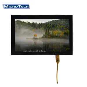 10.1 Inch LVDS LCD Display 1024*600 LED Screen Portable LCD Display